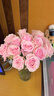 【玫瑰花】花店同款甘肃玫瑰西北鲜花无土栽培易开花期长七夕礼物 粉红雪山单头玫瑰 20枝 实拍图