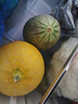 京鲜生 海南西州蜜哈密瓜 净重8-9斤 2-3粒精品   源头直发包邮 实拍图