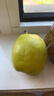 京鲜生 新疆特级库尔勒香梨 净重5斤单果120g以上 生鲜水果 实拍图