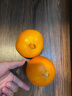 京鲜生 福建永安蜜橘 5斤 单果50g起 橘子/桔子  生鲜水果礼盒 实拍图
