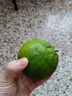 京喜加云南湖北青皮蜜桔橘子高山青皮酸桔子应季时令水果孕妇生鲜 蜜桔带箱1斤50-60mm 实拍图
