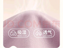 新一步（XINYIBU）纯棉秋衣女士秋冬单件上衣保暖内衣7A抗菌舒适透气打底衫大码线衣 柔杏【纯棉+7A抗菌+抗静电】 L 实拍图