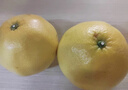 超值黄皮葡萄柚红心蜜柚柚子爆汁新鲜水果酸甜可口久雅 黄皮葡萄柚带箱2斤（2-4枚装） 实拍图