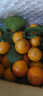 懒鲜生广东正宗沙糖桔清甜无渣砂糖橘新鲜 2斤净重 小果（30-40mm-花皮 介意慎拍） 实拍图