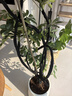 叹为观止大型植物发财树各种大颗盆栽开业乔迁客厅办公室内好养大型花卉 造型鸭脚木【1.4-1.6米】 含盆 实拍图