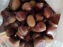 丹东板栗新鲜当季东北特产野生锥栗大果甜糯毛栗子现摘整箱包邮 单果22mm+ 5斤 实拍图