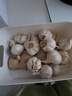 【百万单爆品】紫白皮蒜水果大蒜超市生鲜蔬菜调料即食蒜 大蒜 500g 单果3.5-5cm 实拍图