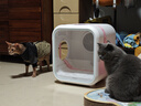 霍曼宠物智能烘干箱宠物烘干机猫咪自动吹干箱狗狗洗澡吹风机家用 实拍图