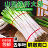 山东大葱新鲜9斤装甜葱铁杆大葱非章丘长白毛葱蘸酱嫩葱饭店批发 铁杆大葱【带脏皮去半叶】 3斤 实拍图