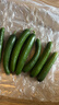京喜加新鲜无刺水果小黄瓜小青瓜脆甜荷兰脆嫩生吃黄瓜蔬菜 水果黄瓜 2斤 带箱活动 实拍图