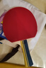 红双喜SH横直对拍01初学者训练比赛乒乓球拍横直套装+乒乓球 实拍图