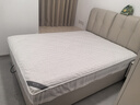博洋家纺全棉夹棉床笠抑菌席梦思保护床褥子防尘床罩柔梦白150*200cm 实拍图