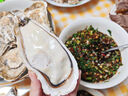 贝司令 鲜活乳山生态生蚝4XL 净重4斤 8-11只 生鲜源头直发 实拍图
