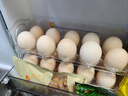 家の物语鸡蛋收纳盒冰箱侧门蛋托神器可翻转厨房收纳整理专用食品级保鲜盒 【自动回弹】鸡蛋收纳盒 透明 实拍图