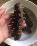 皇纯【威海产地】优选淡干海参50g7-12只 干货底播刺参 源头直发包邮 实拍图