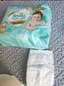 帮宝适护臀级一级帮新生儿婴儿纸尿裤尿不湿添加类胎脂mini试用 NB29 实拍图