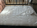 穗宝（SYMBOL）乳胶床垫椰棕床垫弹簧床垫东方梦舒脊京仓闪发1.5*2米软硬适中 实拍图