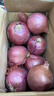 京鲜生 甘肃紫红皮洋葱净重5斤单果200g+ 现挖新鲜蔬菜 源头直发包邮 实拍图
