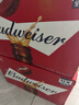 百威（BUDWEISER）瓶装啤酒 美式拉格 经典醇正330ml*24瓶 啤酒整箱批发 整箱批发 330mL 24瓶 晒单实拍图