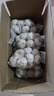 大蒜头出口品质网兜紫蒜蔬菜调料新鲜大果烧烤火锅食材 【精品网兜装】5斤装 2300g 实拍图
