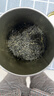 乐品乐茶特级毛尖茶叶绿茶2025明前春茶礼盒装250g送礼袋自己喝热门商品 实拍图