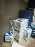 蒙牛全脂纯牛奶250ml*21盒 早餐健身伴侣 送礼盒装 实拍图