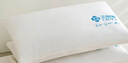 洁丽雅（Grace）纯棉A类纤维枕枕头枕芯双人成人高弹羽丝绒枕头芯 一对装 46*72cm 实拍图