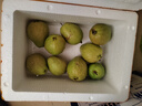 探味君 广西红心芭乐番石榴 新鲜水果生鲜健康轻食带箱 软糯红心芭乐净重2.8斤 实拍图