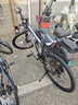 金武端自行车成人山地车公路赛车单车骑行变速超轻越野中学生初中青少年 顶配版-辐条轮-黑白色 26寸21速 实拍图