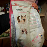 皇家幼猫猫粮 幼猫奶糕 K36 通用粮 4-12月 2KG 实拍图