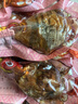 德州扒鸡【老汤大鸡腿65g*8个】熟食零食休闲食品夜宵充饥办公室 老汤五香大鸡腿8根 实拍图