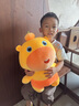 轩岛正版水豚噜噜玩偶抱枕大号陪睡公仔毛绒玩具生日情人节礼物送女生 正版水豚噜噜【呆呆45CM】送娃衣 卡皮巴拉送男生朋友新年礼物官方多爱小众高级 实拍图