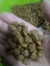 皇家狗粮 成犬狗粮 犬粮 通用犬型 CC 通用粮 ≥12月 8KG 实拍图