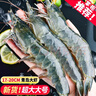虾有虾途国产青岛大虾白虾青虾基围虾鲜虾冷冻生鲜虾类鲜活特大海捕整箱装 17-20厘米超大号 3.6斤(净重) 实拍图