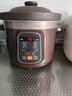 九阳（Joyoung）电炖锅电炖盅电砂锅炖汤盅煲汤锅多功能锅紫砂锅燕窝炖盅煮粥锅直炖4L大容量 可预约保温GD410 实拍图