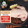 硒全食美富硒汤鸽 520g (260g*2只) 冷冻煲汤滋补 供港鸽子肉 生鲜鸽子汤 实拍图