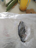 鲜活桂鱼400-500g/条 实拍图