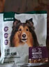 网易严选犬粮 三拼鲜肉烘培冻干狗粮幼犬成犬中大型犬通用金毛促消化 50g 实拍图