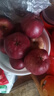 2025年现摘现发甘肃天水花牛苹果新鲜红蛇果粉面生鲜脆甜多汁A14 带箱3斤  果径65-70mm 实拍图
