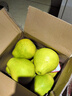 趣觅鲜正宗容县沙田柚产地直发广西特产纯甜无酸老树白肉柚子新鲜水果 12斤净重小果9-11个礼盒装 实拍图