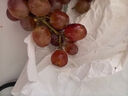 京鲜生 克伦森无籽红提 净重2斤装 葡萄/提子克伦生 水果 源头直发 实拍图