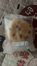 麦酥园 康泉无糖红豆面包早餐低脂粗粮老年人专用休闲零食品代餐约975g 实拍图