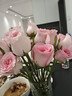 【玫瑰花】花店同款甘肃玫瑰西北鲜花无土栽培易开花期长七夕礼物 洛神单头玫瑰 20枝 实拍图