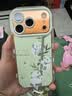 江铭适用苹果18Pro手机壳iphone17Pro保护套防摔全包镜头高级创意轻奢磨砂男女羽纱保护壳绿熊猫配挂绳 实拍图