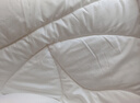 梦洁家纺大豆纤维双人被子冬季棉被抗菌加厚被芯秋冬被1.5米床 200×230cm 实拍图