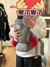 ERGObaby二狗背带婴儿抱娃神器四季透气外出旅行遛娃神器breeze解放双手 【重磅升级】Omni Deluxe灰+口水巾 实拍图