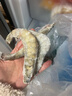 北海湾 虾 青岛大虾鲜活冷冻基围虾 虾类 海鲜水产生鲜白虾青虾海虾对虾 盐冻大虾 3.3斤(净重)  16-18cm【单只冻 特大虾】 实拍图