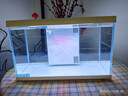 喜高超白玻璃鱼缸智能鱼缸免换水小型客厅水族箱一体式过滤氧气鱼缸 白-鱼缸+加热棒 380*210*245mm 实拍图