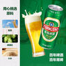 青岛啤酒（TsingTao）经典 500ml*18听整箱装（多厂生产随机发货）拉格啤酒 实拍图