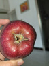 京鲜生 甘肃天水花牛苹果 又大又红 净重4斤 单果160g起  新鲜水果  实拍图